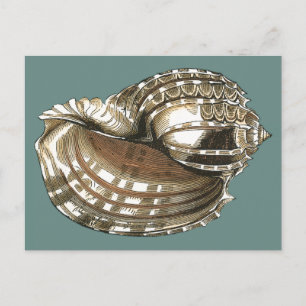 Carte Postale Le joyau de l'océan