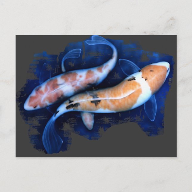 Carte Postale Le Koi Tango (Devant)