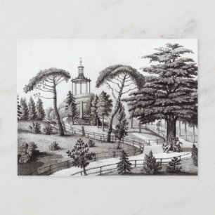 Carte Postale Le Labyrinthe du jardin des Plantes