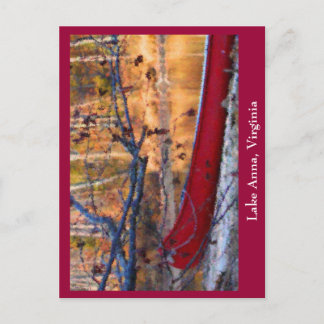 Carte Postale Le lac Anna Virginia