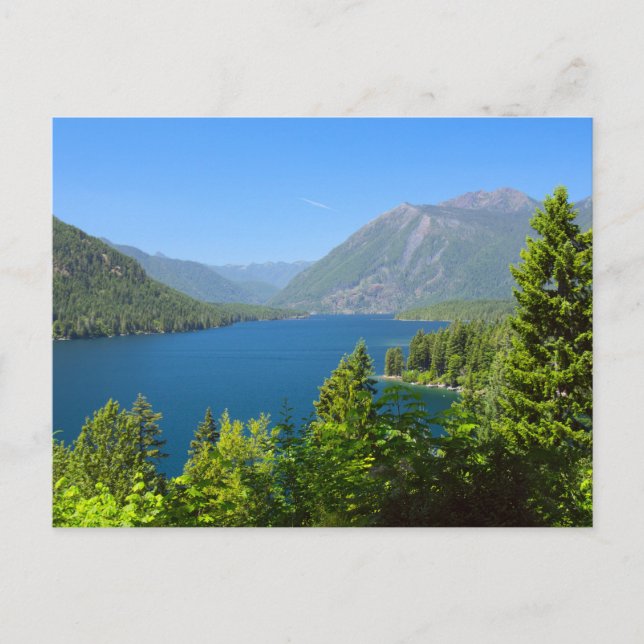 Carte Postale Le lac Cushman en été (Devant)