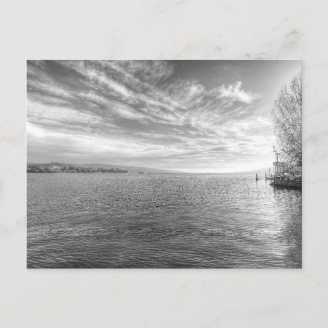 Carte Postale Le lac de Zurich (Devant)