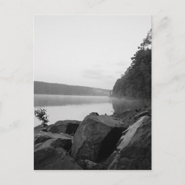 Carte Postale Le lac et la brume (Devant)