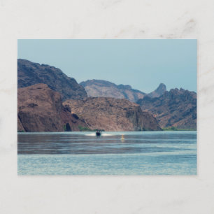 Carte Postale Le lac Havasu