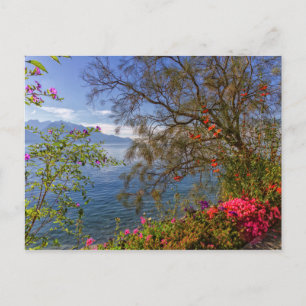 Carte Postale Le lac Montreux, Suisse