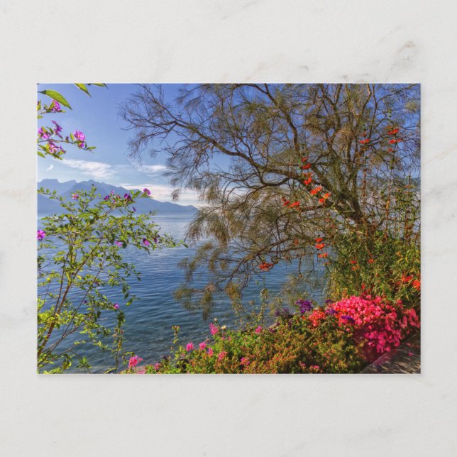 Carte Postale Le lac Montreux, Suisse (Devant)