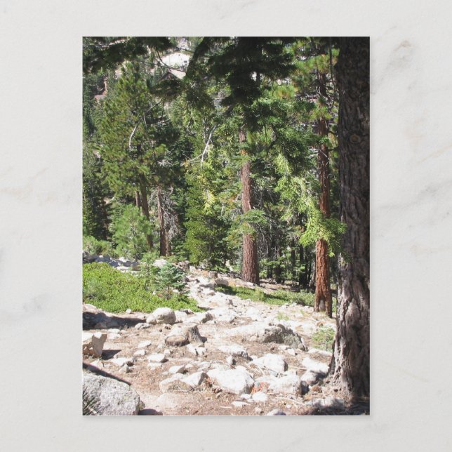 Carte Postale Le lac Tahoe (Devant)