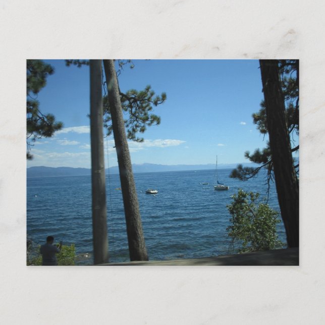 Carte Postale Le lac Tahoe (Devant)