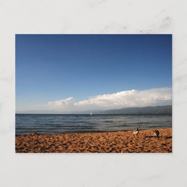 Carte Postale Le lac Tahoe (Devant)