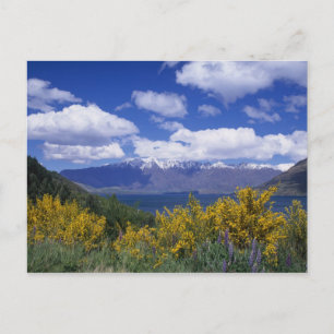 Carte Postale Le lac Wakatipu et les Remarkables, Queenstown,