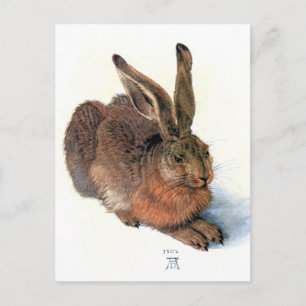 Carte postale : Le lapin