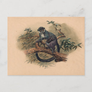 Carte Postale Le lémur à front noir par Joseph Wolf
