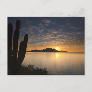 Carte Postale Le lever du soleil sur Isla Danzante dans le golfe