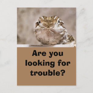 Carte Postale Le Lézard de l'humour