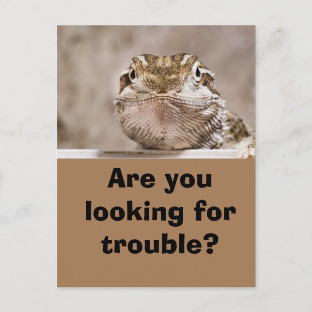 Carte Postale Le Lézard de l'humour (Devant)