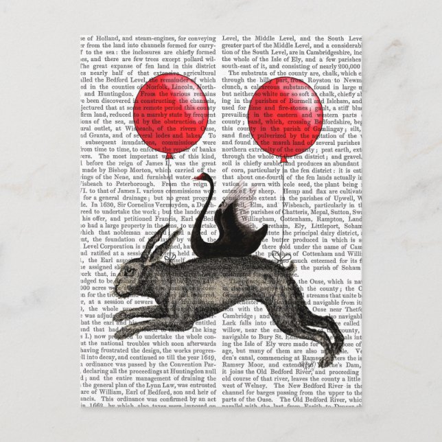 Carte Postale Le lièvre (Devant)