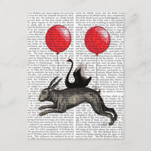 Carte Postale Le lièvre