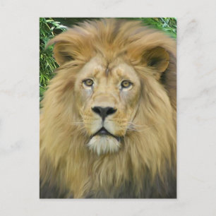 Carte Postale Le lion