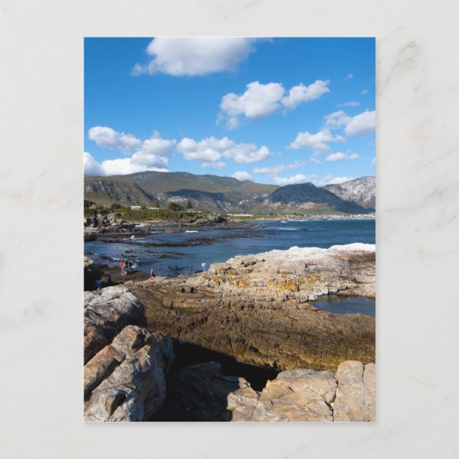 Carte Postale Le littoral de l'Hermanus (Devant)