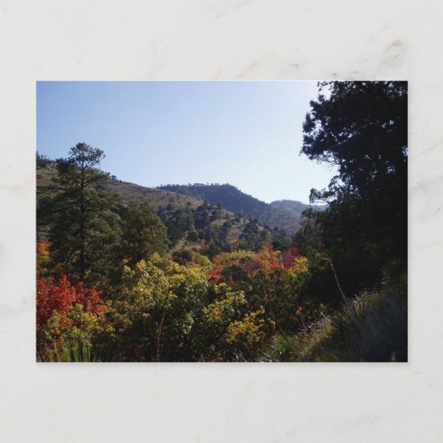 Carte Postale Le long de la route - Canyons du sentier (Devant)