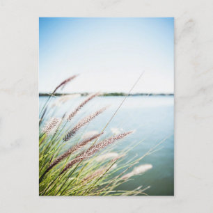 Carte Postale Le long du Saint-Laurent