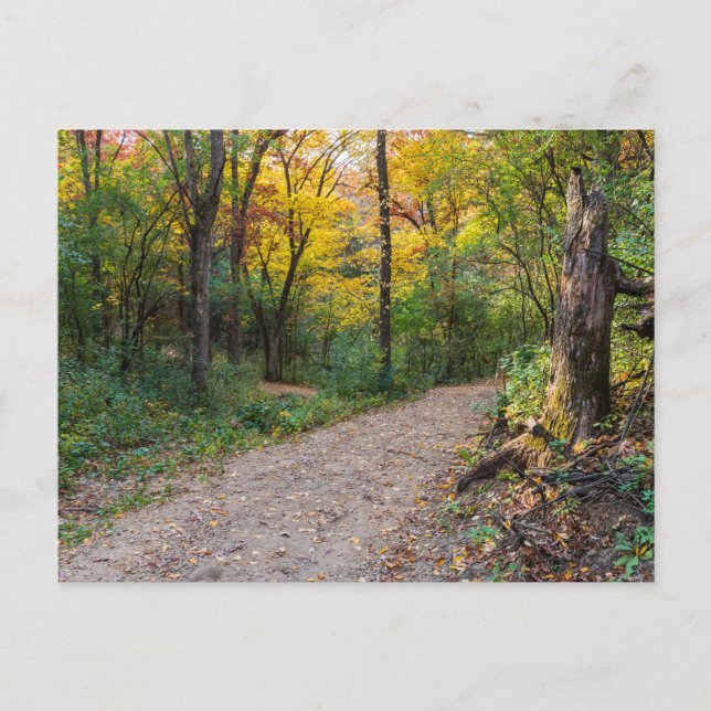 Carte Postale le long du sentier forestier sinueux des collines  (Devant)