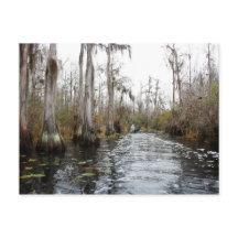 Le marais d'Okefenokee, Géorgie