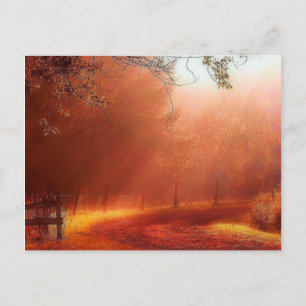 Carte Postale Le Matin A Éclaté