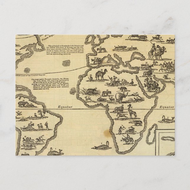 Carte Postale Le monde des animaux (Devant)