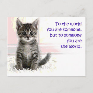 Carte Postale Le monde des chatons