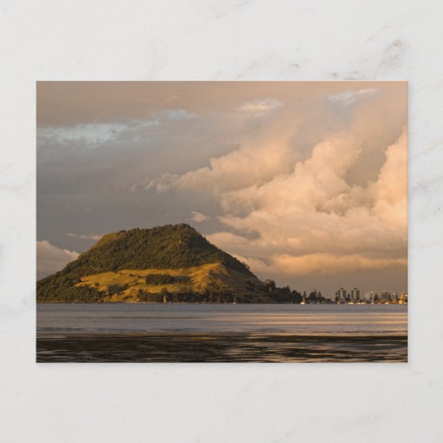 Carte Postale Le Mont Maunganui (Devant)