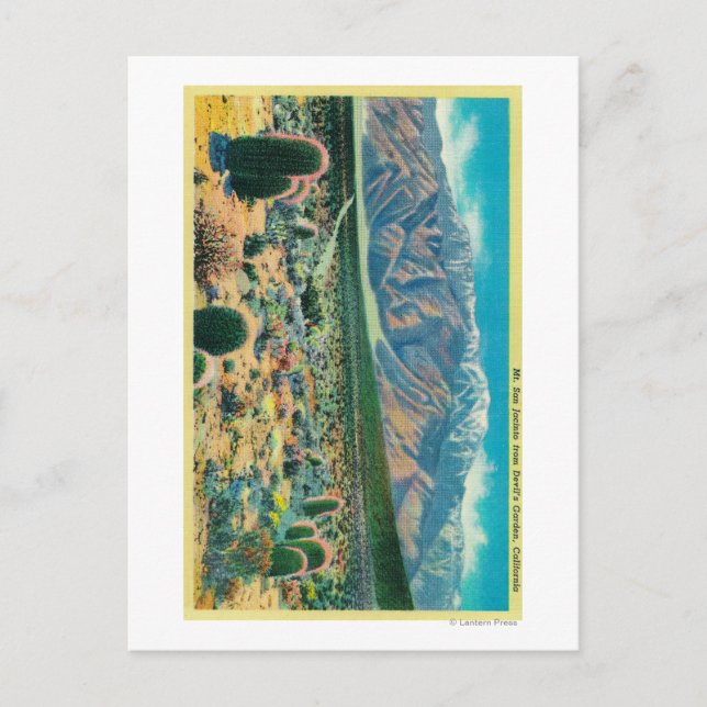 Carte Postale Le mont San Jacinto du jardin du diable (Devant)