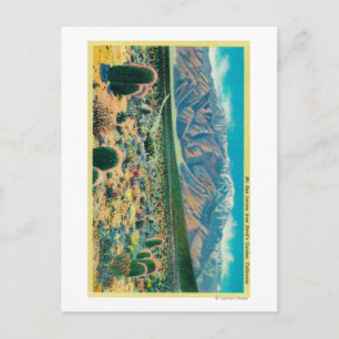 Carte Postale Le mont San Jacinto du jardin du diable