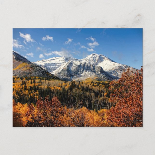 Carte Postale Le mont Timpanogos à l'automne Monts Utah (Devant)
