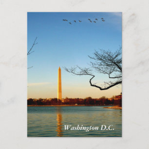 Carte Postale Le Monument de Washington