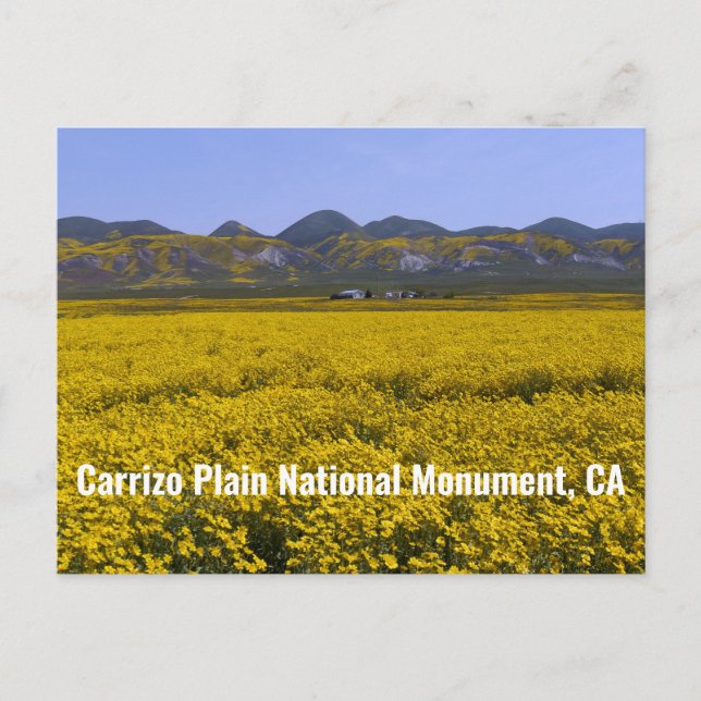 Carte Postale Le monument national de Carrizo Plain (Devant)