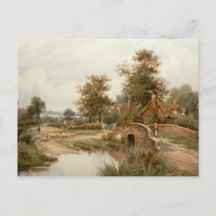 Carte Postale Le Mouton