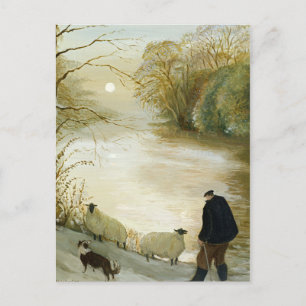 Carte Postale Le mouton errant