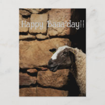 Le mouton, joyeux Baaanniversaire !