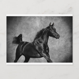 Carte Postale Le noir