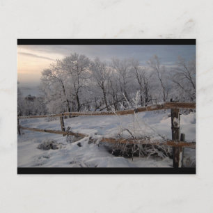 Carte Postale Le Nord gelé