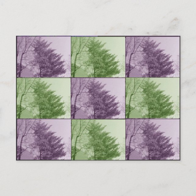 Carte Postale le northgate neuf (Devant)