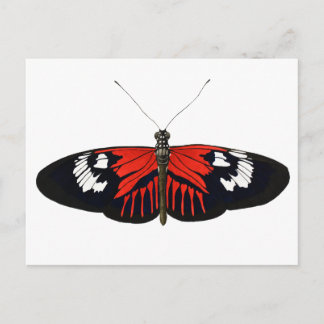 Carte Postale Le papillon du facteur rouge