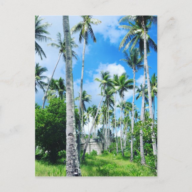 Carte Postale Le paradis dans le Pacifique (Devant)