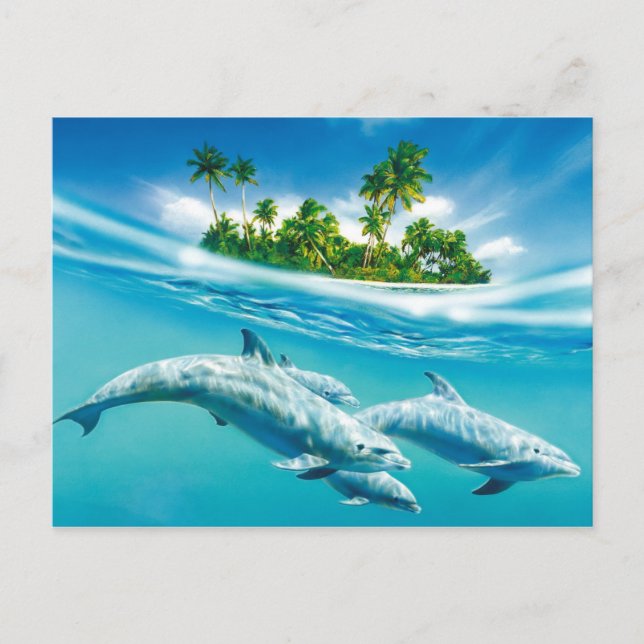 Carte Postale Le paradis des dauphins (Devant)
