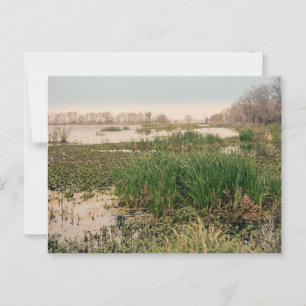 Carte Postale Le Parc d'État de Brazos