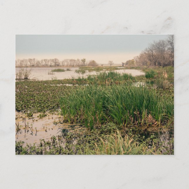 Carte Postale Le Parc d'État de Brazos (Devant)