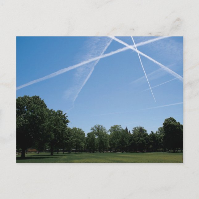 Carte Postale Le parc forestier (Devant)