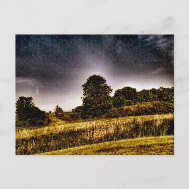 Carte Postale Le Parc Incroyable (Devant)