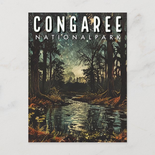 Carte Postale Le Parc national de Congaree (Devant)